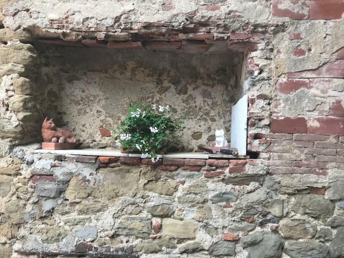 Camera E Appartamento Toscana - B&B Palazzo Robicci Castiglion Fiorentino Zewnętrze zdjęcie