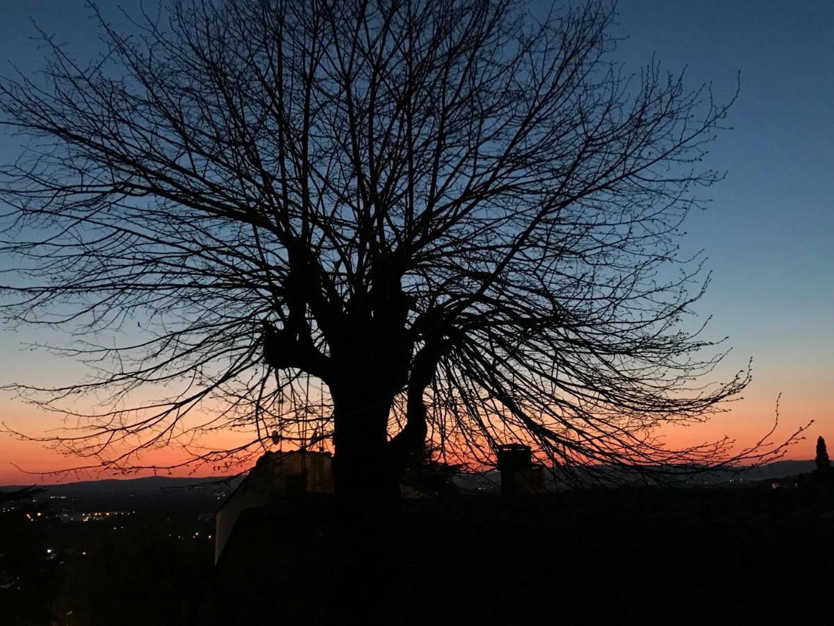 Camera E Appartamento Toscana - B&B Palazzo Robicci Castiglion Fiorentino Zewnętrze zdjęcie